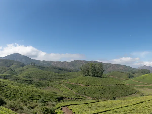 Munnar